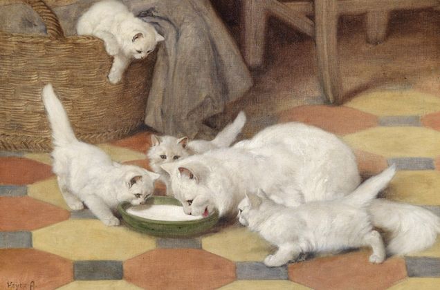 ねこのことは何でも「たまとり屋」